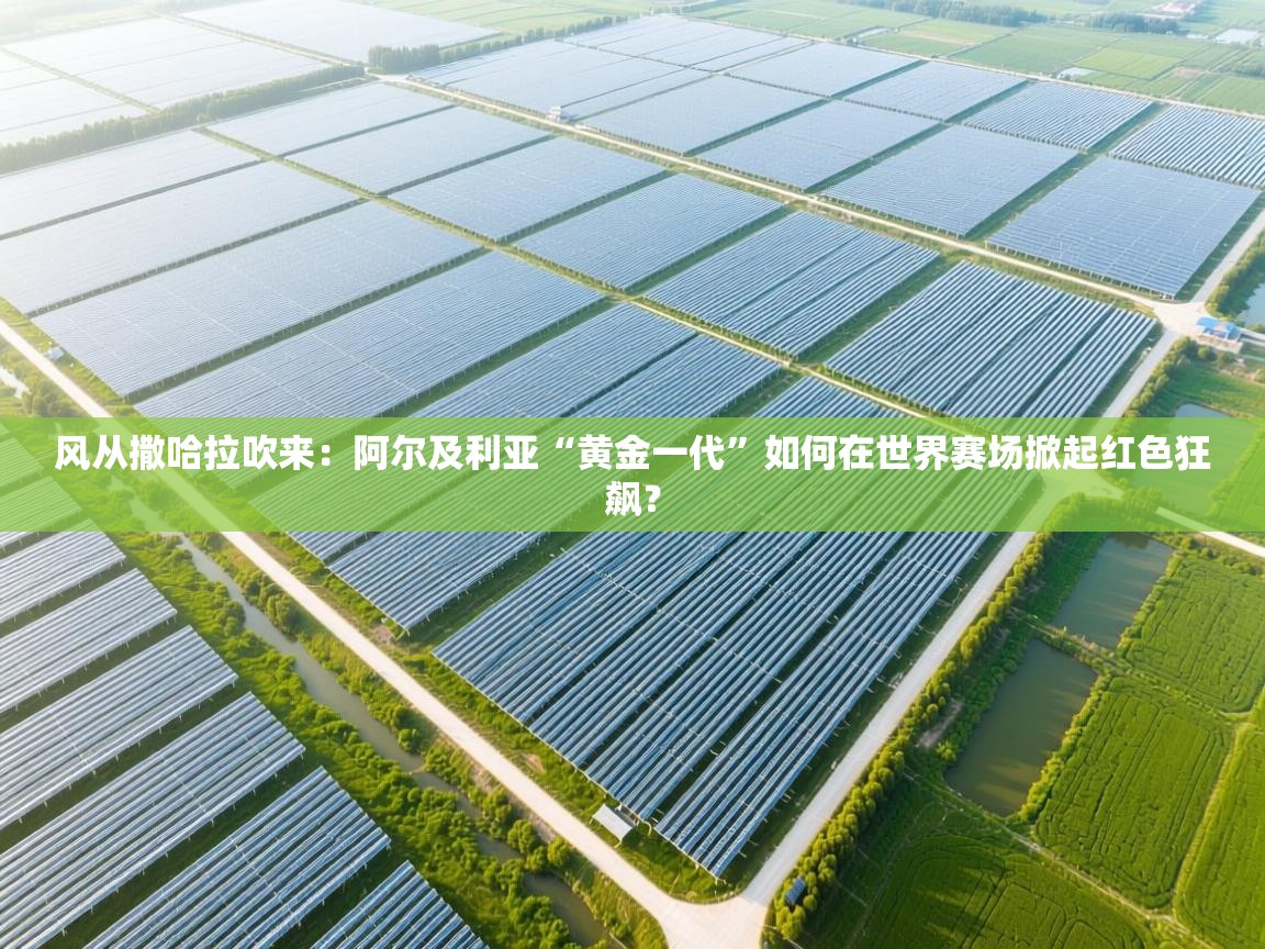 风从撒哈拉吹来:阿尔及利亚“黄金一代”如何在世界赛场掀起红色狂飙?