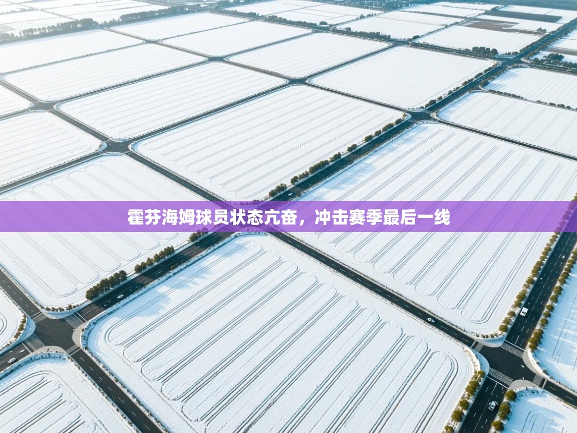 霍芬海姆球员状态亢奋，冲击赛季最后一线